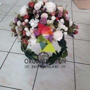 Çember Şamdan Çiçeği